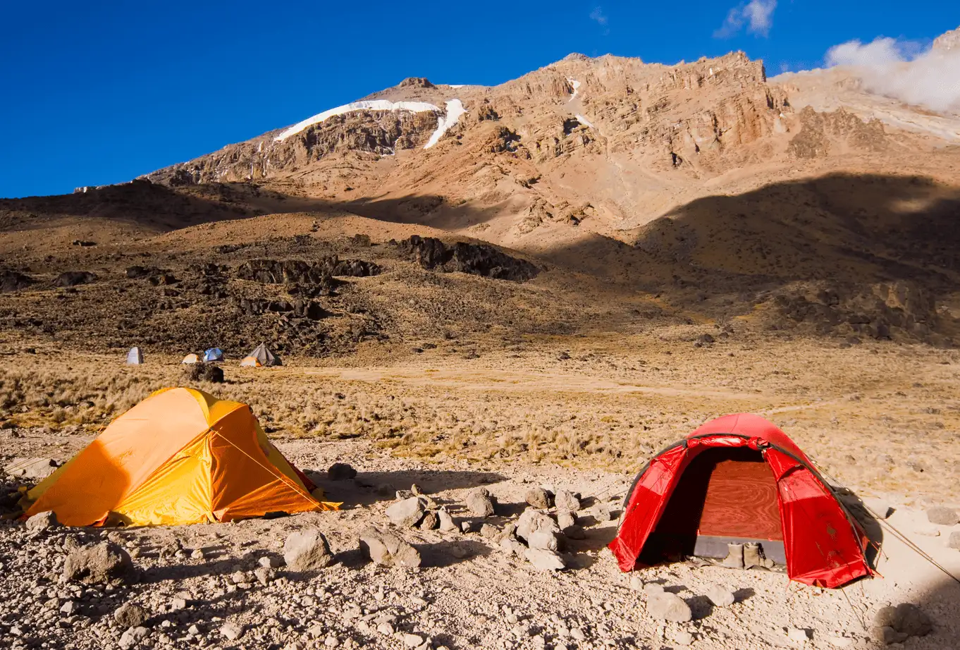9 Days Umbwe Route (7 Days Hiking)