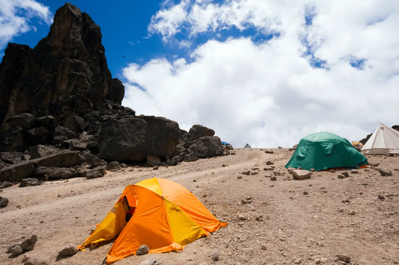 9 Days Rongai Route (7 Days Hiking)