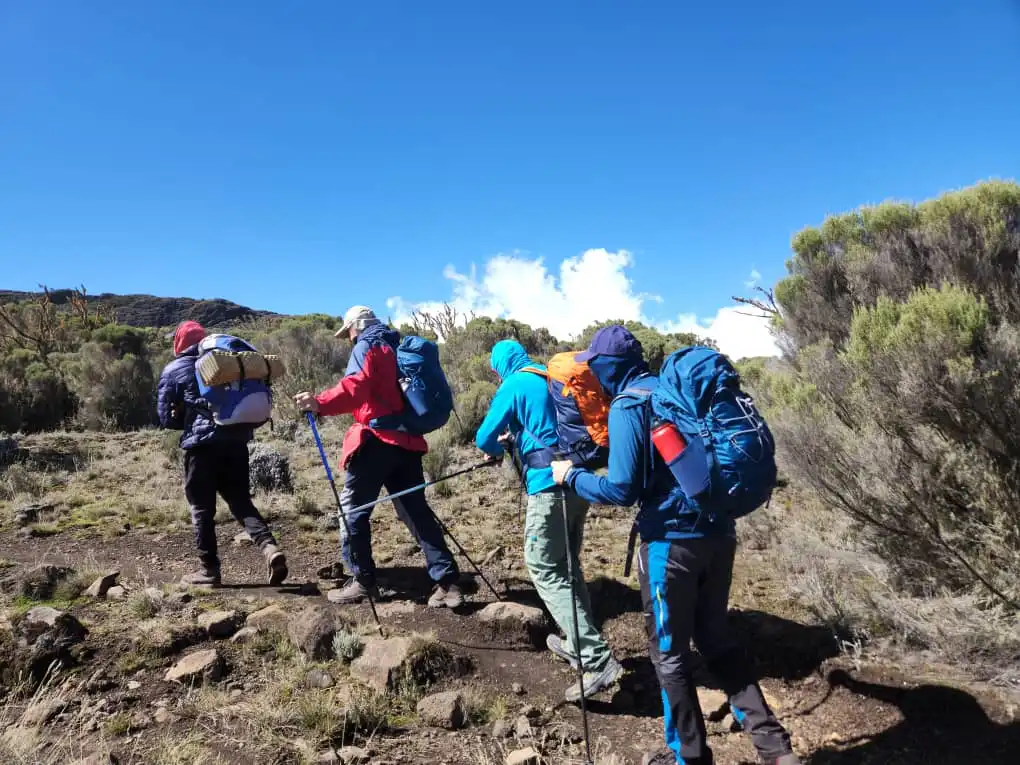 9  Days Machame Route (7 Days Hiking)