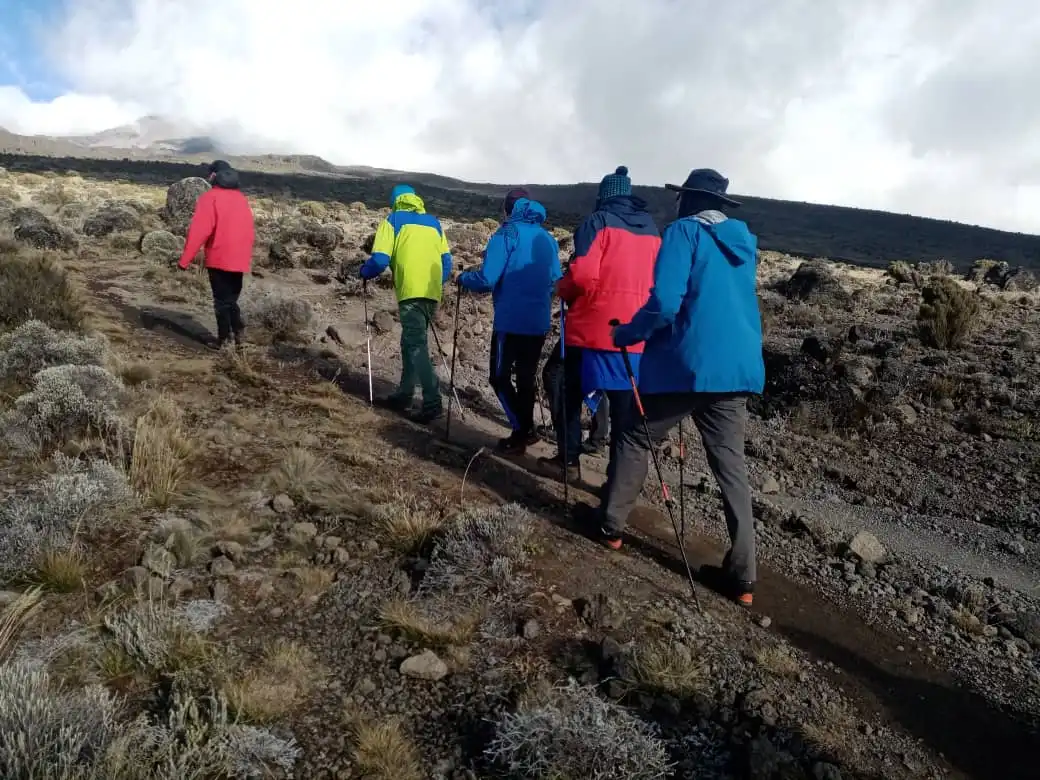 10 Lemosho Route (8 Days Hiking)